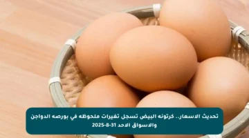 تحديث الأسعار.. كرتونة البيض تسجل تغيرات ملحوظة في بورصة الدواجن والأسواق الأحد 31-8-2025